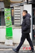 南京街头行道树“穿毛衣”添表情增暖意